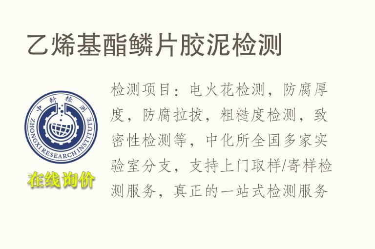 <font color='red'>乙烯</font>基酯鳞片胶泥检测