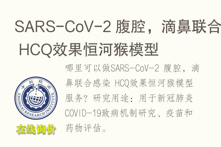 SARS-CoV-2 腹腔，滴鼻联合感染 HCQ效果恒河猴<font color='red'>模型</font>