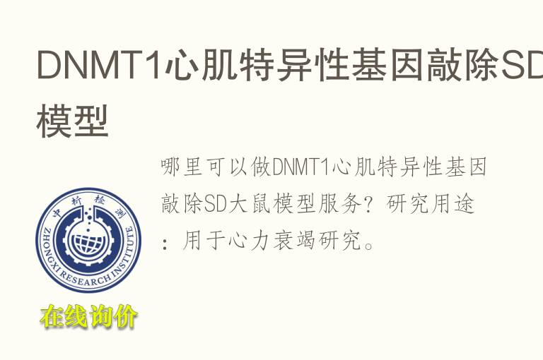 DNMT1心肌特异性<font color='red'>基因</font>敲除SD大鼠模型