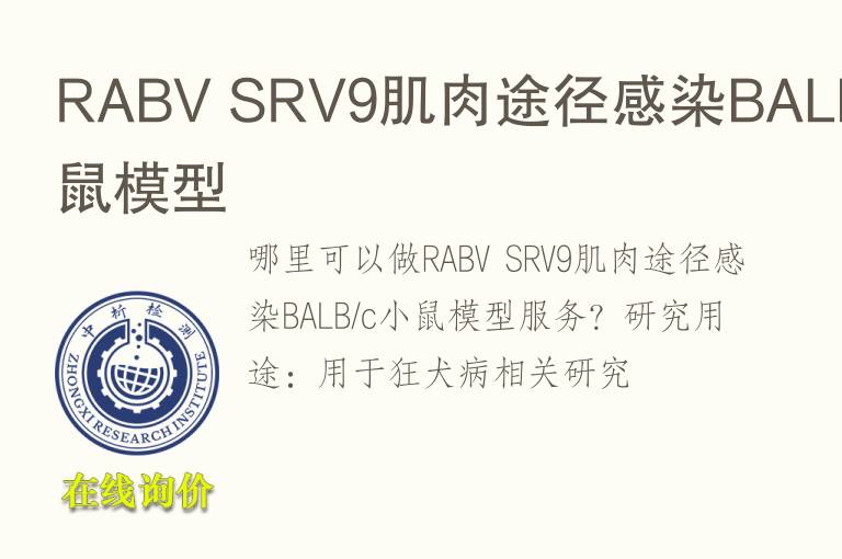 RABV SRV9肌肉途径感染BALB/c小鼠模型
