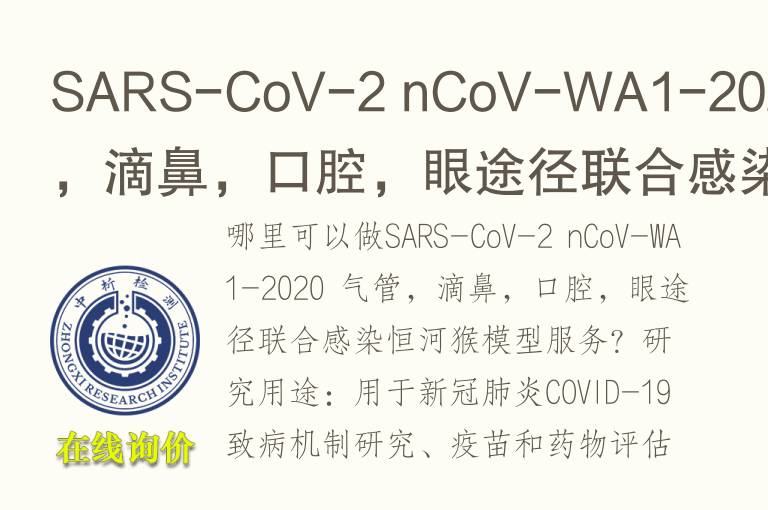 SARS-CoV-2 nCoV-WA1-2020 气管，滴鼻，口腔，眼途径联合感染恒河猴<font color='red'>模型</font>