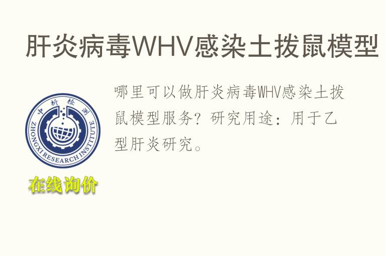 肝炎病毒WHV感染土拨鼠<font color='red'>模型</font>