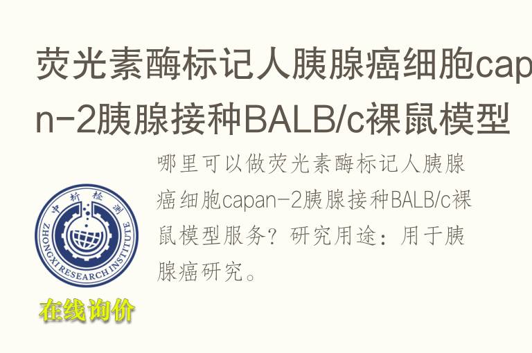 荧光素酶标记人胰腺癌细胞capan-2胰腺接种BALB/c裸鼠<font color='red'>模型</font>