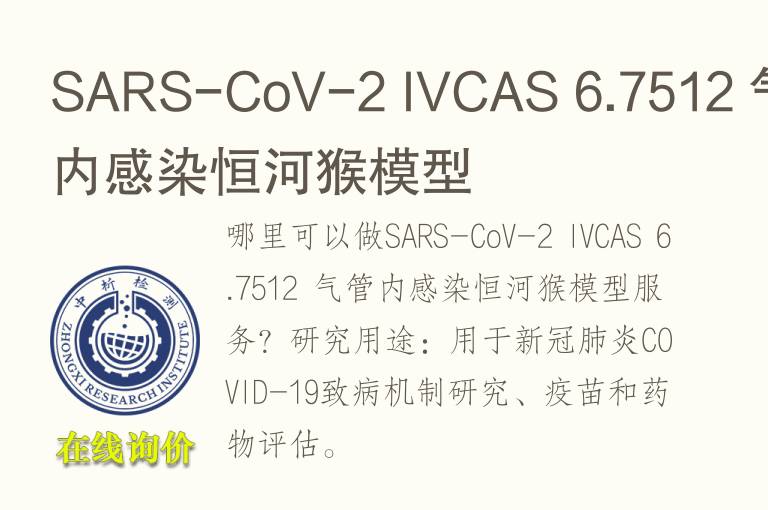 SARS-CoV-2 IVCAS 6.7512 气管内感染恒河猴<font color='red'>模型</font>