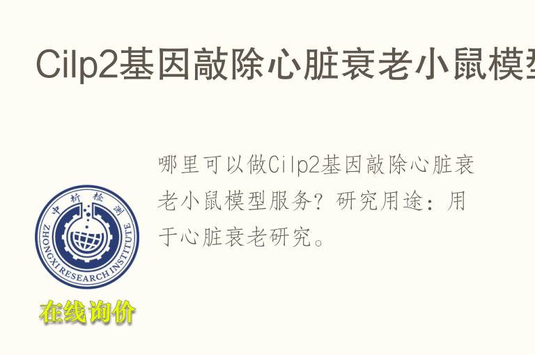 Cilp2基因敲除心脏衰老小鼠<font color='red'>模型</font>