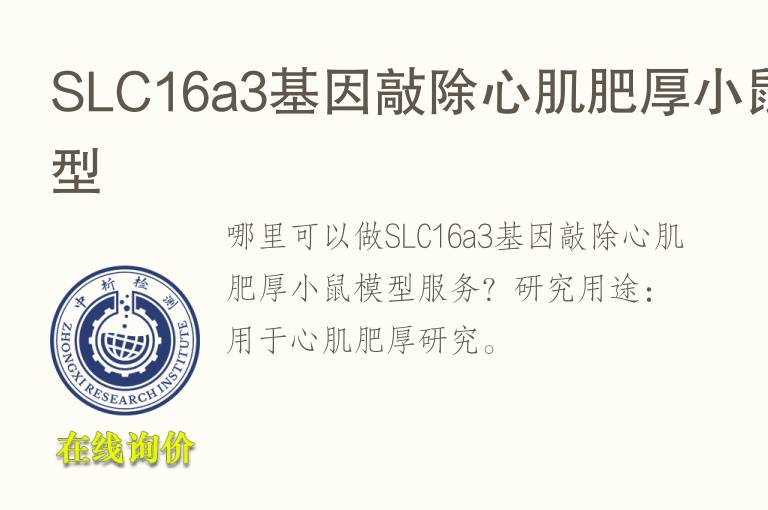 SLC16a3基因敲除心肌肥厚小鼠<font color='red'>模型</font>