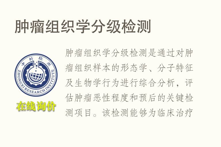 肿瘤组织学分级<font color='red'>检测</font>
