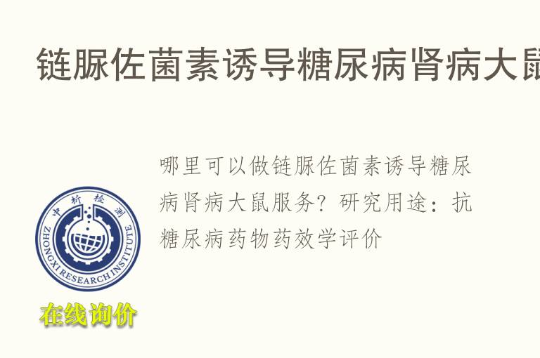 链脲佐菌素诱导糖尿病肾病<font color='red'>大鼠</font>