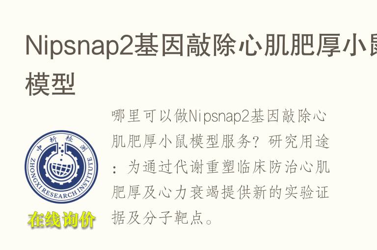 Nipsnap2基因敲除心肌肥厚小鼠模型