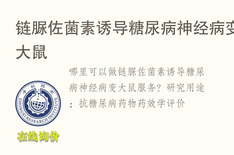 链脲佐菌素诱导糖尿病神经病变<font color='red'>大鼠</font>