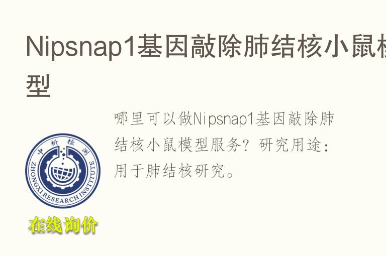 Nipsnap1基因敲除肺结核小鼠模型