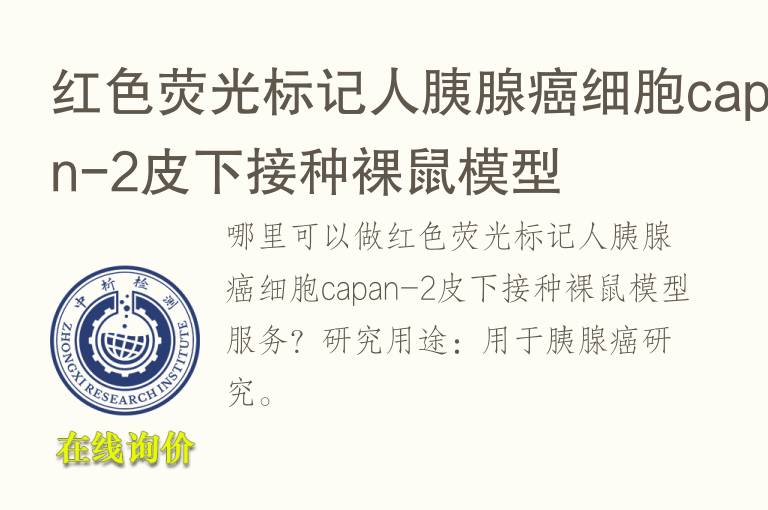 红<font color='red'>色</font>荧光标记人胰腺癌细胞capan-2皮下接种裸鼠模型
