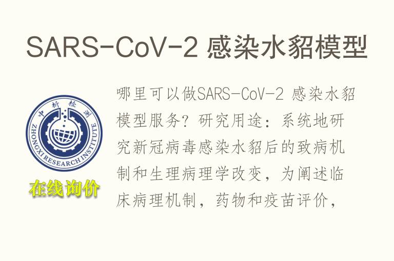 SARS-CoV-2 感染<font color='red'>水</font>貂模型