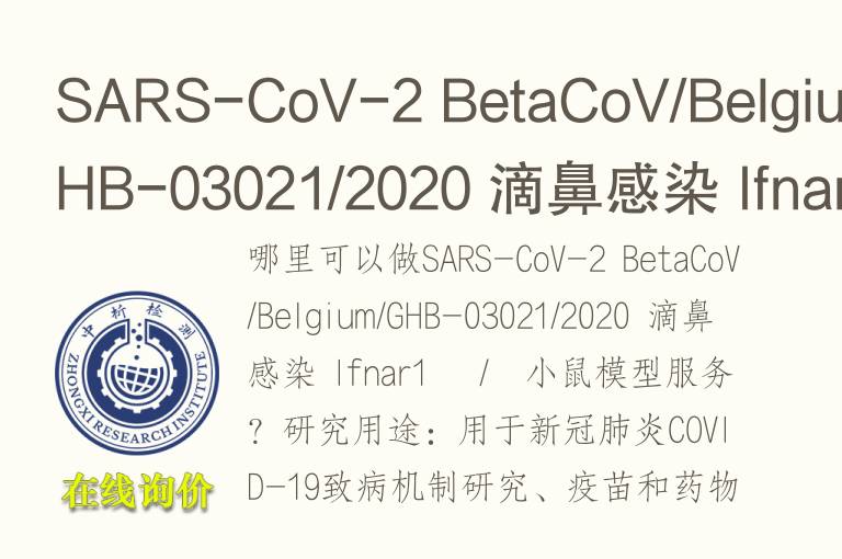 SARS-CoV-2 BetaCoV/Belgium/GHB-03021/2020 滴鼻感染 Ifnar1 −/−小鼠模型