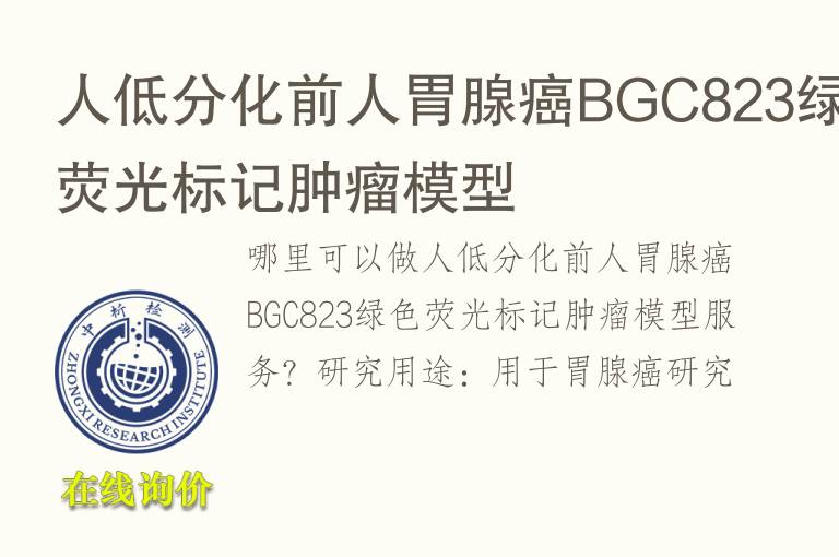 人低分化前人胃腺癌BGC823绿<font color='red'>色</font>荧光标记肿瘤模型